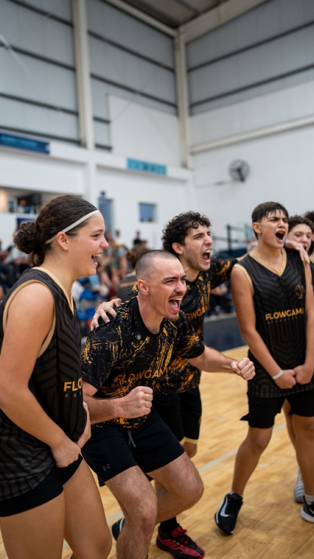 Vista previa de Flow Game Basketball